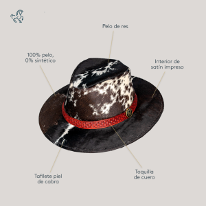 CavayeWEB_SombreroPinto